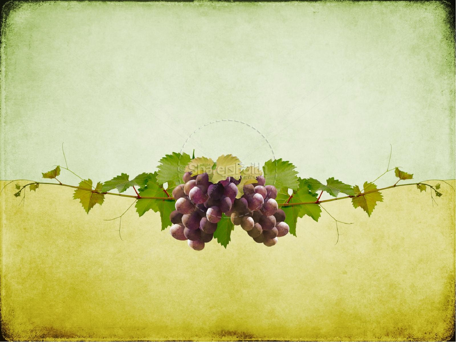 I am the Vine You Are The Branches PowerPoint Sermon Thumbnail 6