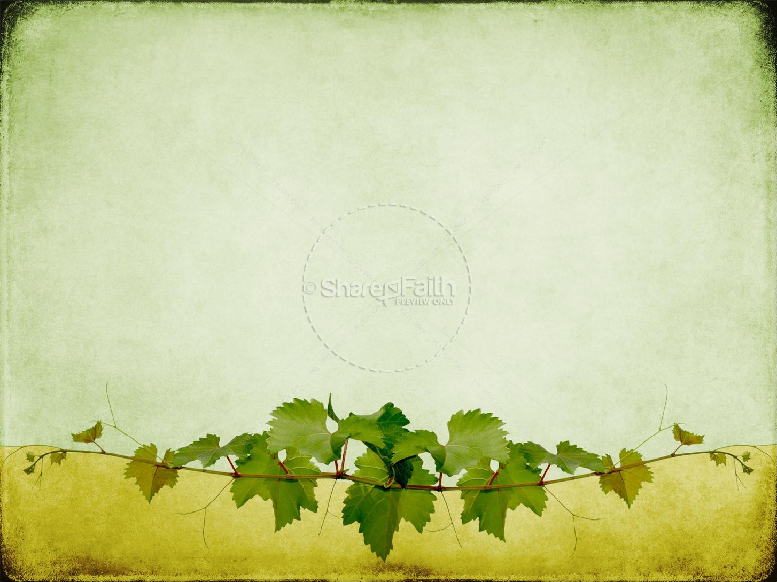I am the Vine You Are The Branches PowerPoint Sermon Thumbnail 9