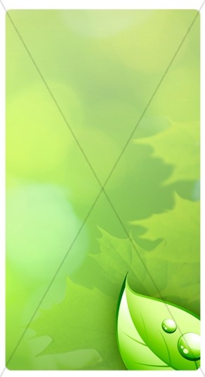 Green Leaves Banner Widget Thumbnail Showcase