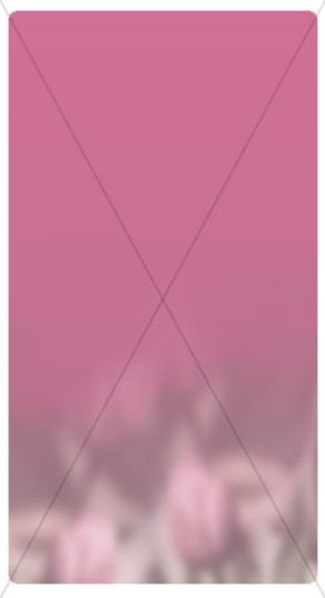 Pink Banner Widget Thumbnail Showcase
