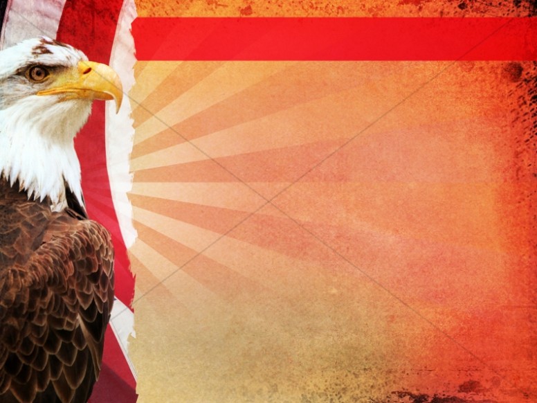 Patriotic Eagle Background Thumbnail Showcase