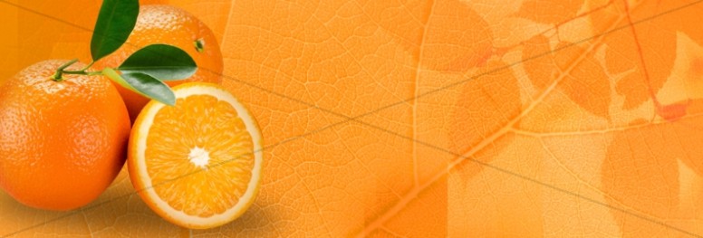Oranges Website Banner Thumbnail Showcase