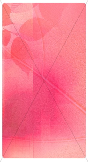 Pink Leaf Banner Widget Thumbnail Showcase