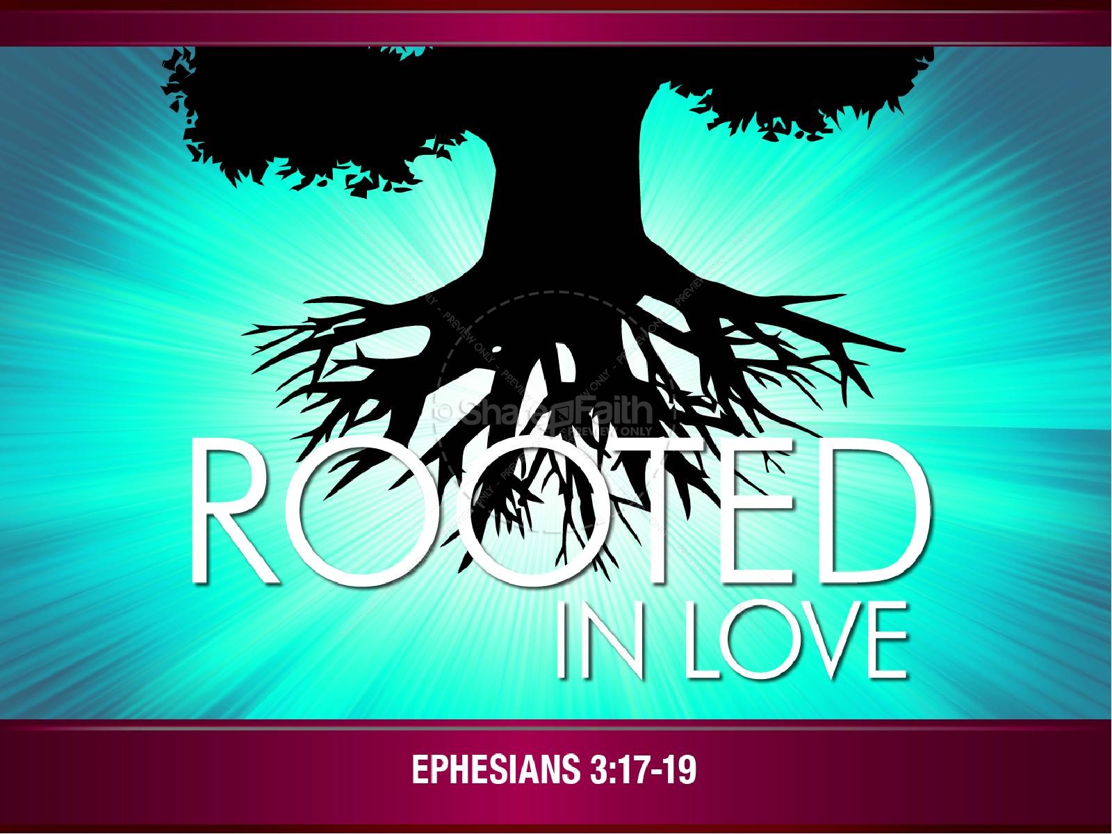 Rooted In Love