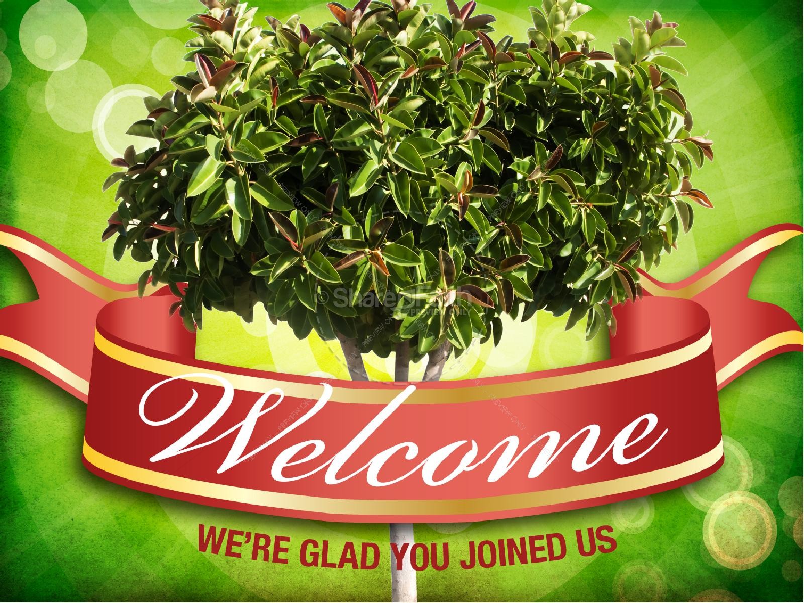 Barren Fig Tree PowerPoint