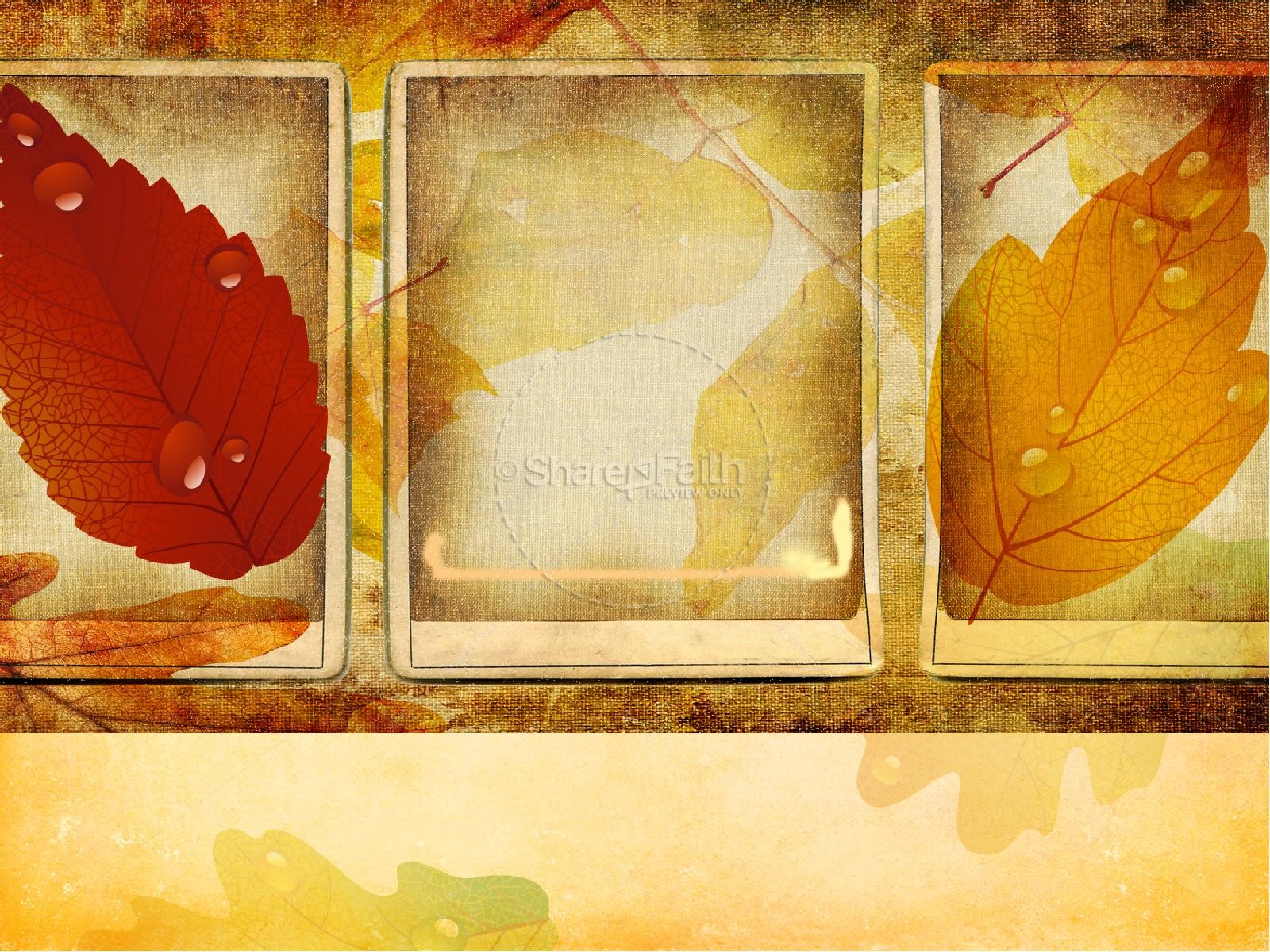 Harvest Celebration PowerPoint