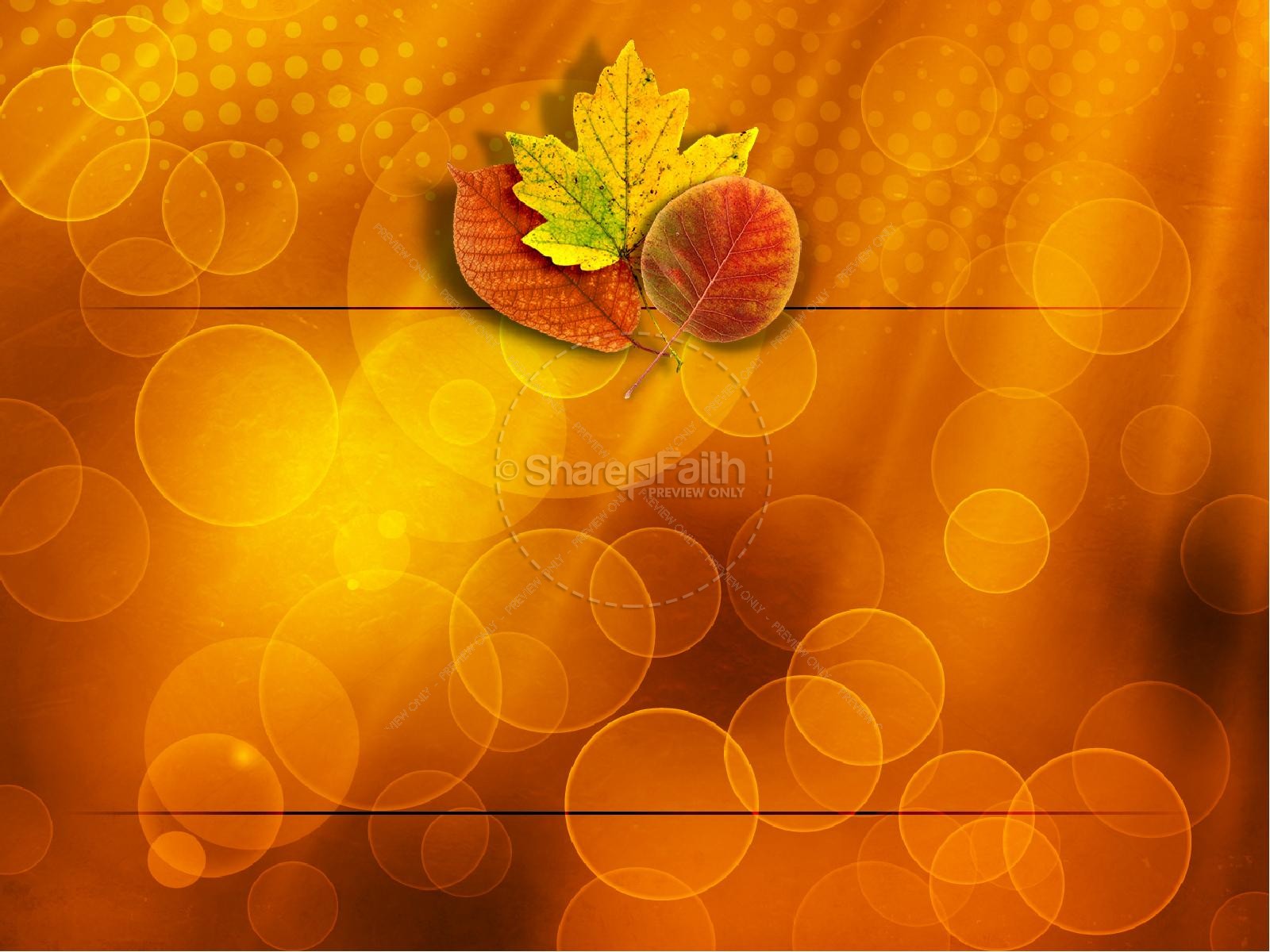Happy Thanksgiving PowerPoint Template Thumbnail 9