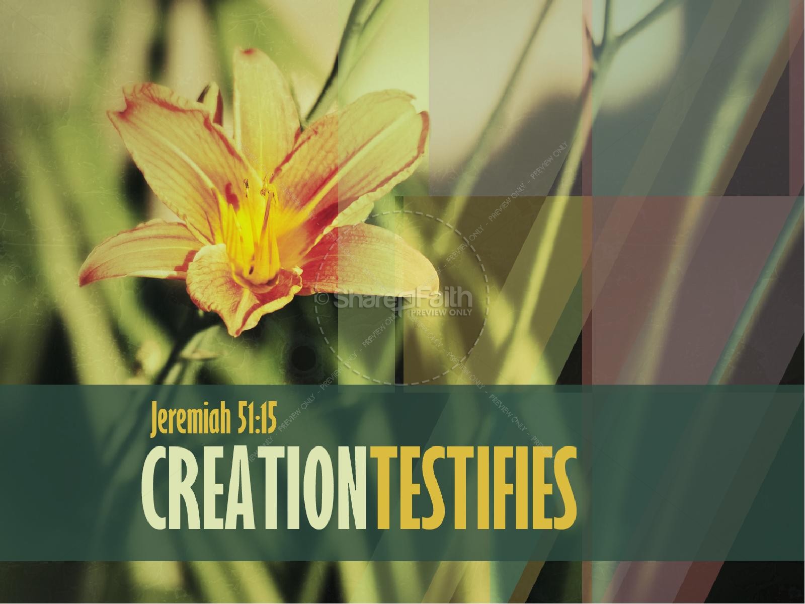Creation Testifies PowerPoint Sermon Template