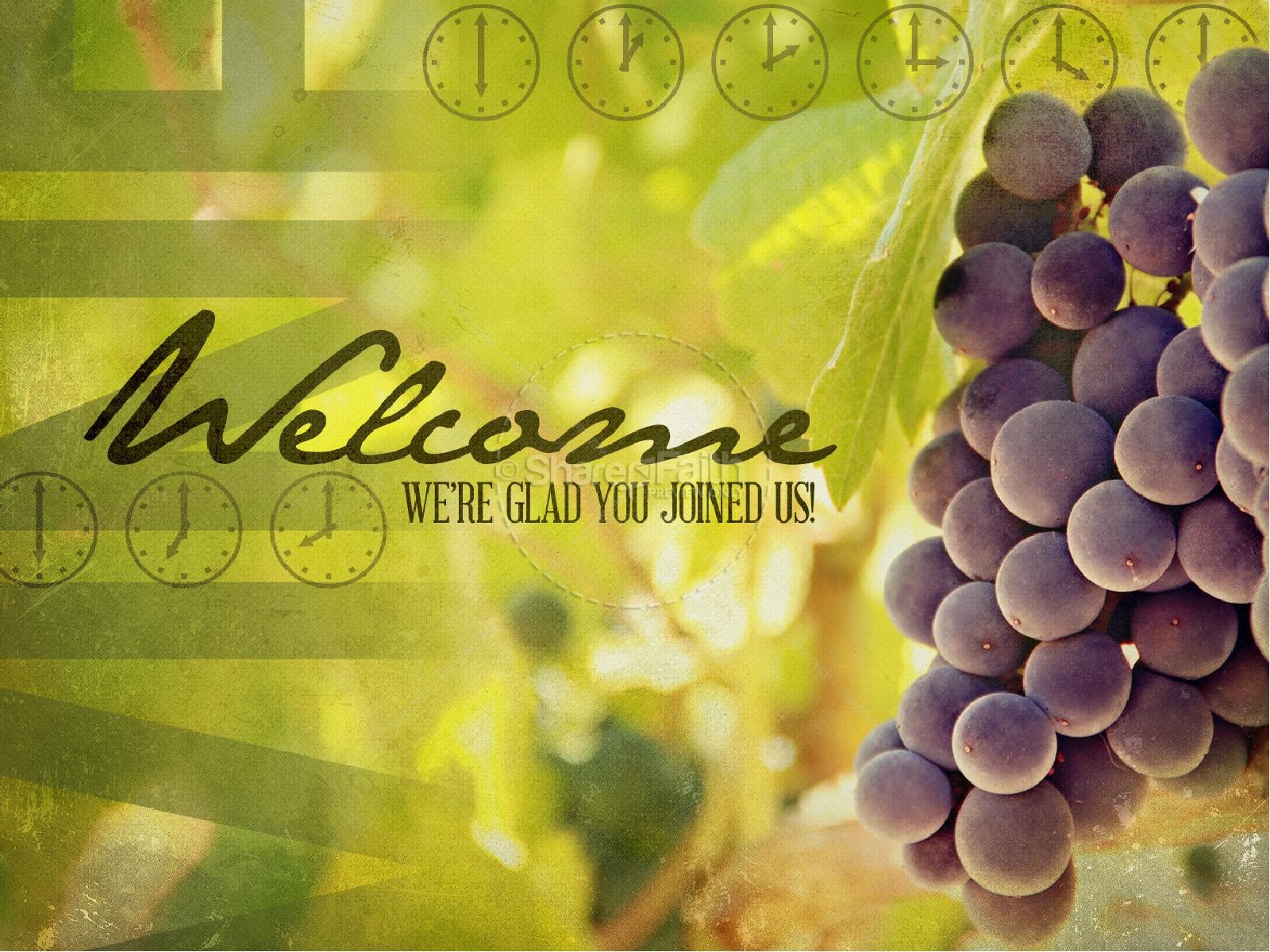 Laborers in the Vineyard PowerPoint Template Thumbnail 5