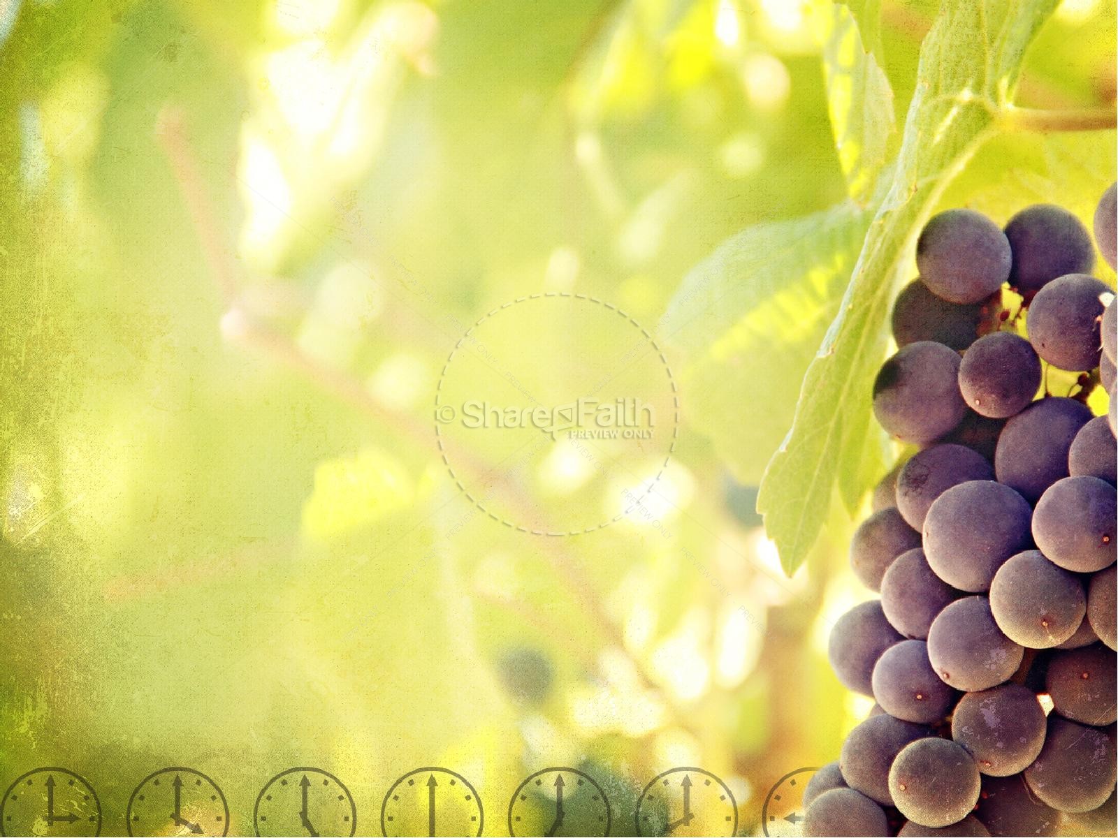 Laborers in the Vineyard PowerPoint Template Thumbnail 8