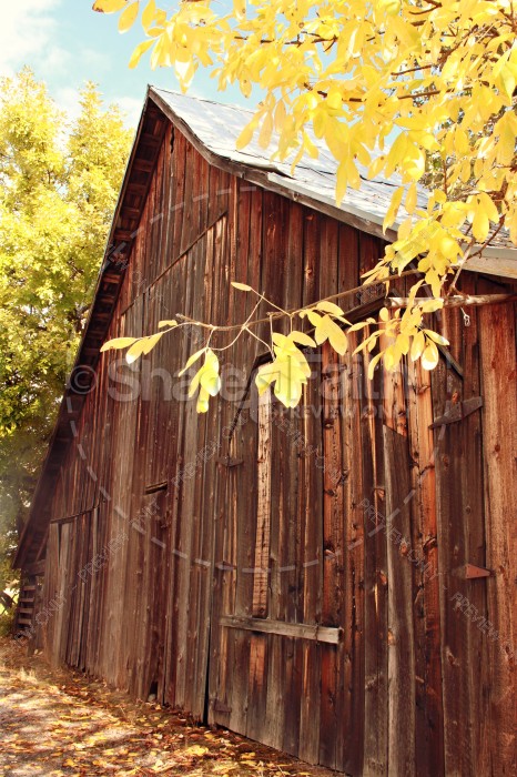 Harvest Scenery Religious Stock Photos