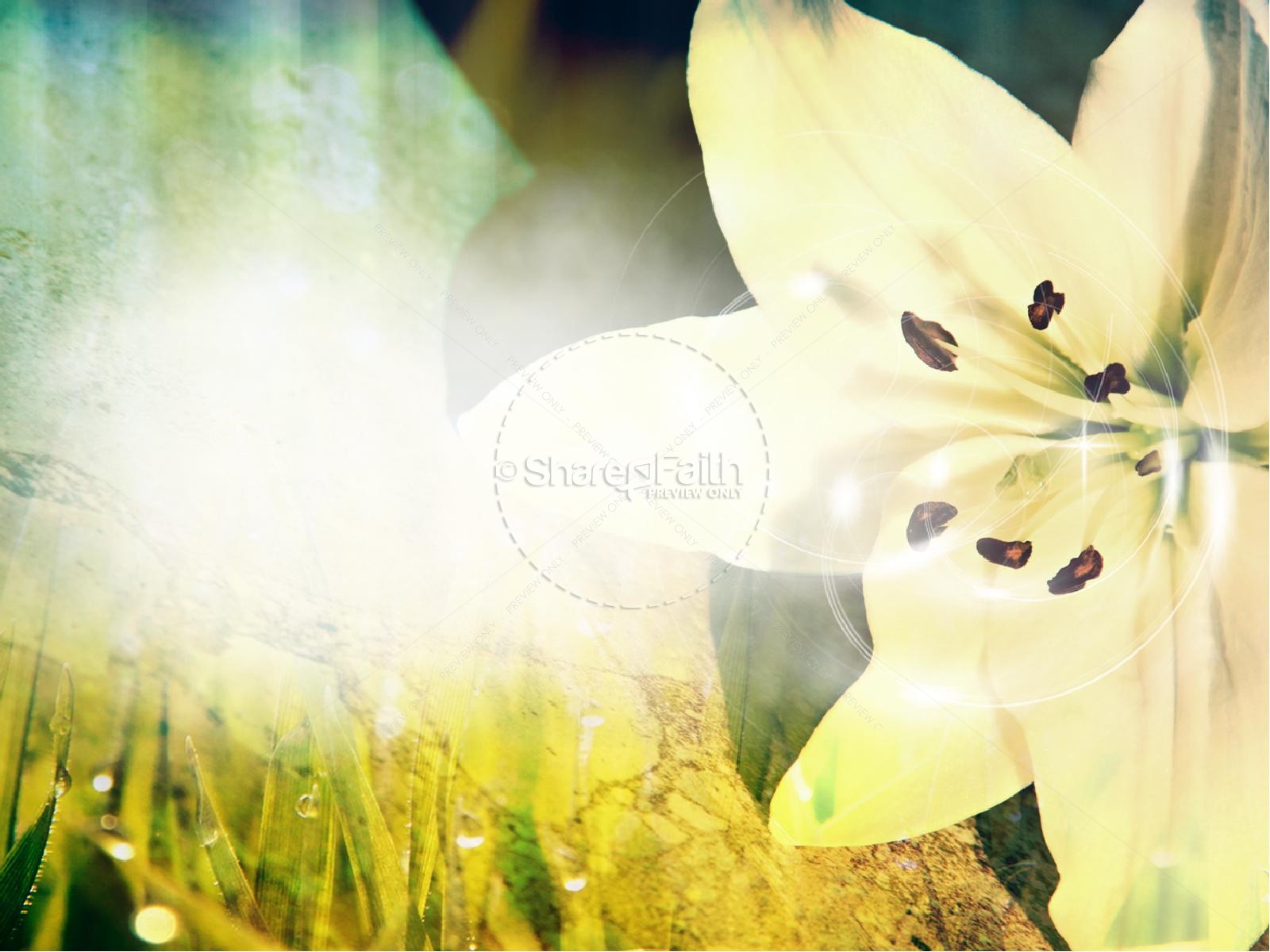 Easter Sunday Lily PowerPoint Thumbnail 2