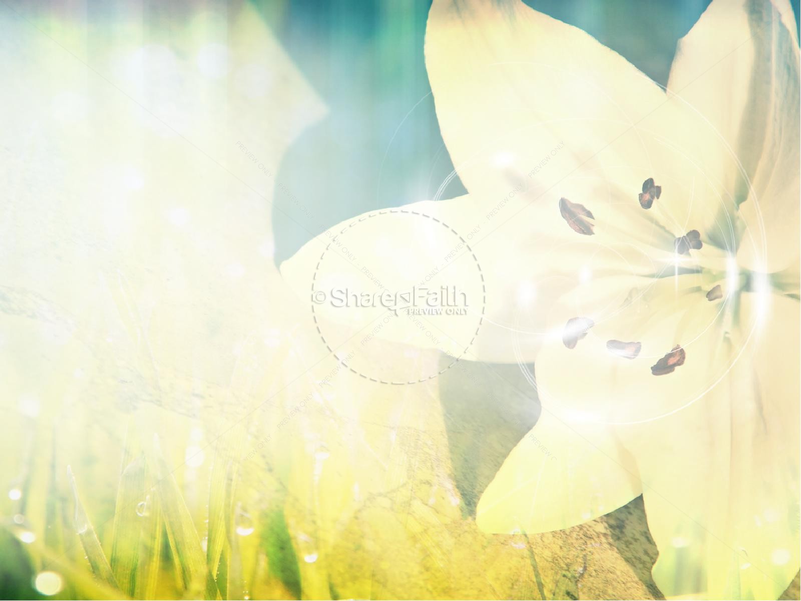 Easter Sunday Lily PowerPoint Thumbnail 5