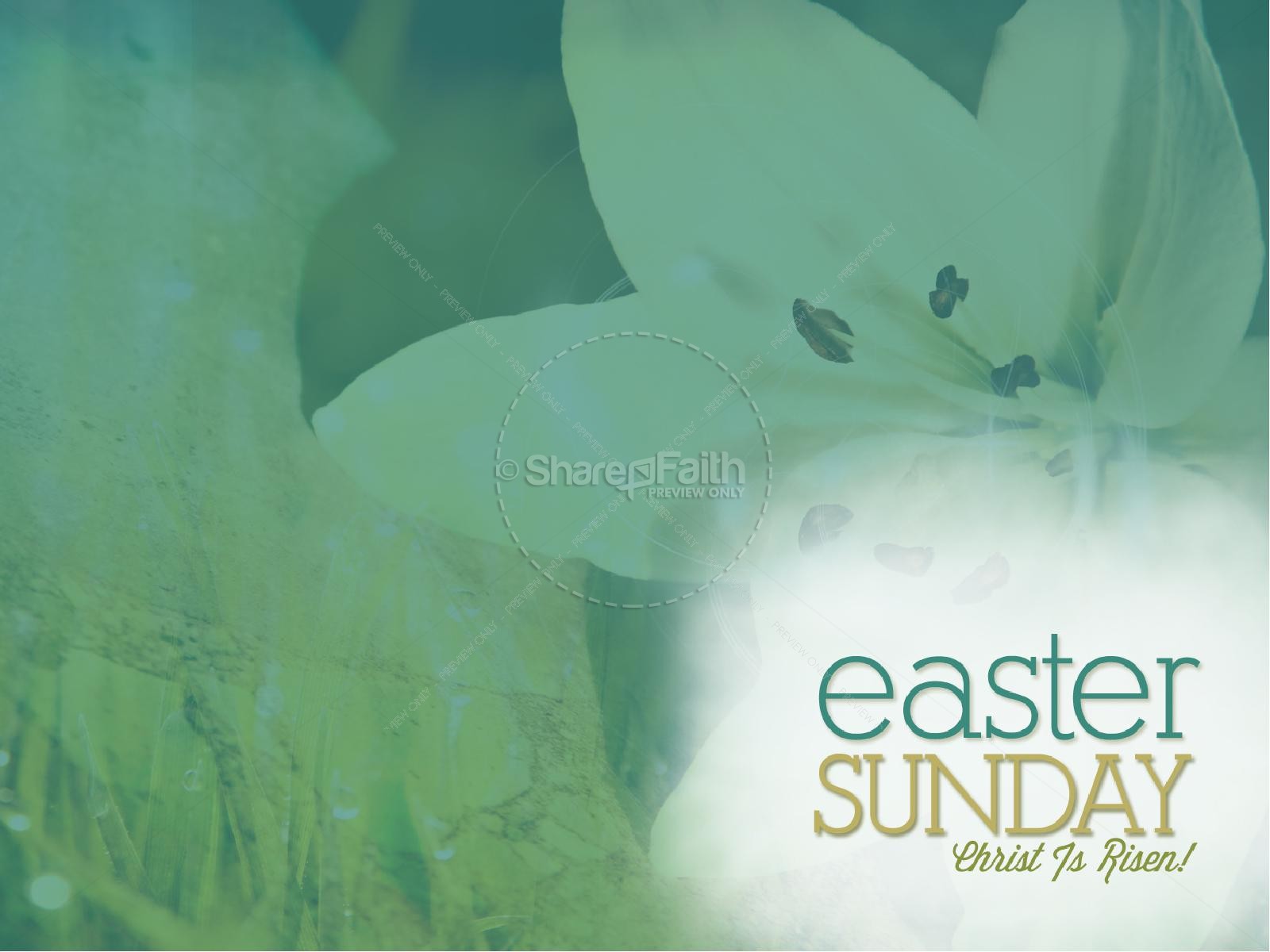 Easter Sunday Lily PowerPoint Thumbnail 9
