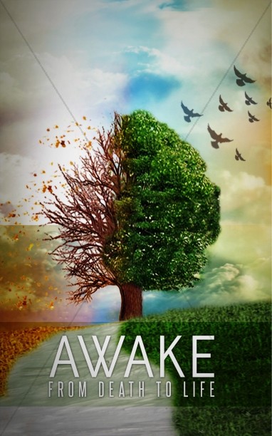 Awake Church Bulletin Cover Thumbnail Showcase