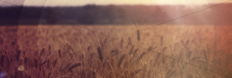 Field of Wheat Website Banner