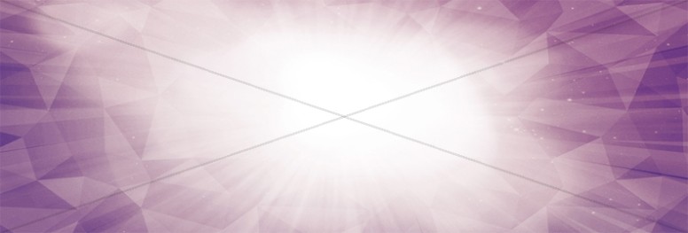 Purple Diamond Banner