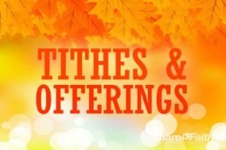 Free Fall Tithes and Offerings Church Service Video Loop | Church ...