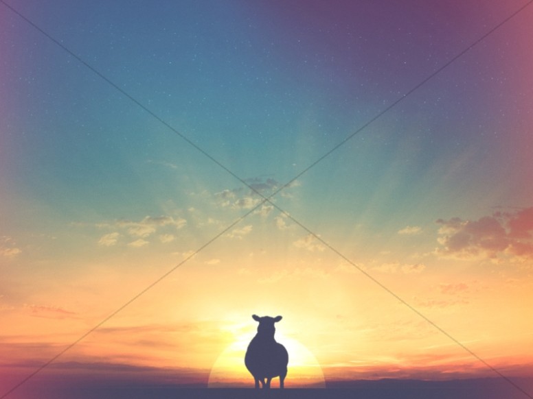 Lamb and Landscape Sunset Christian Stock Photo Thumbnail Showcase
