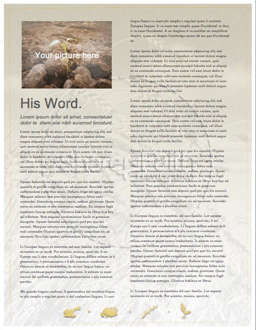 The Sower Ministry Newsletter | page 3