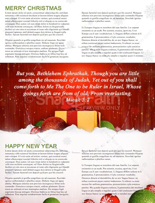 Merry Christmas Happy New Year Religious Newsletter | page 2
