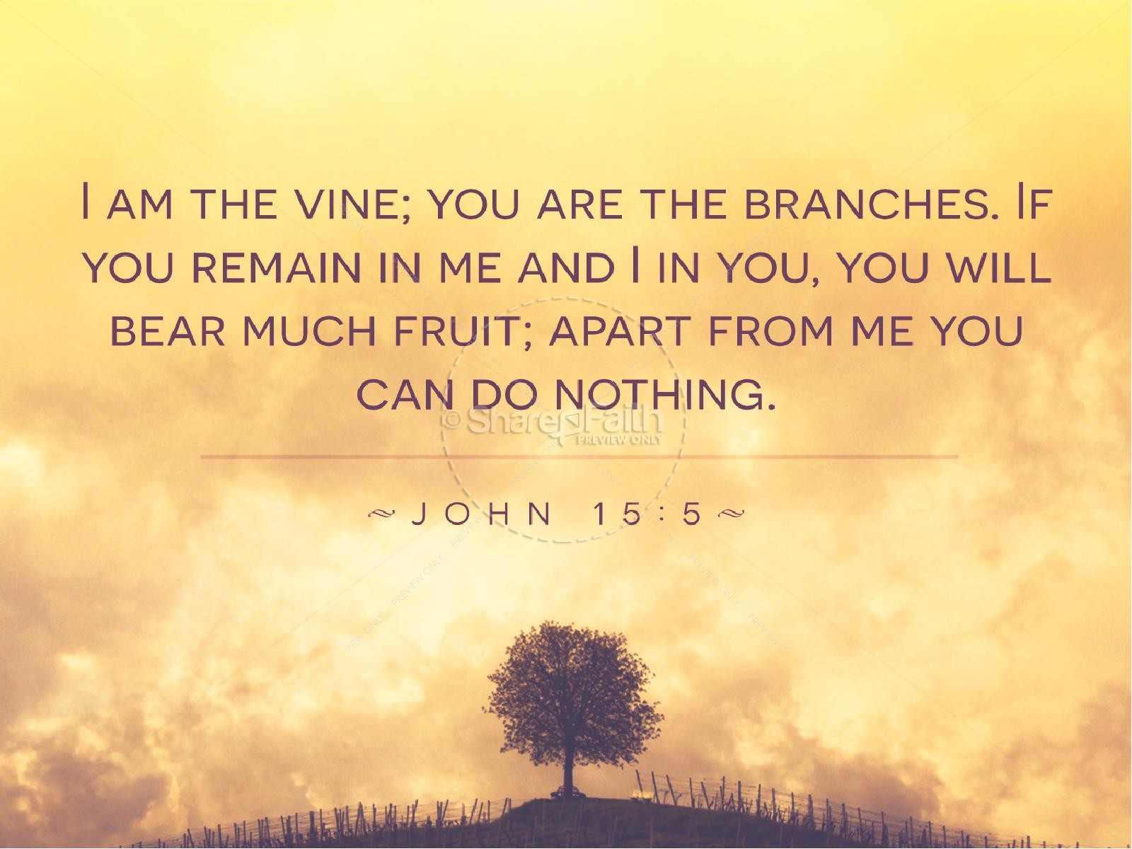 Vine and Branches Religious PowerPoint