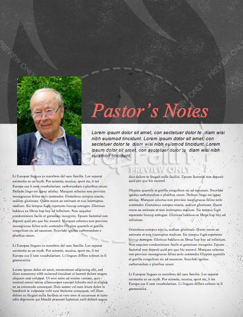 Pentecost Sunday Ministry Newsletter | page 3