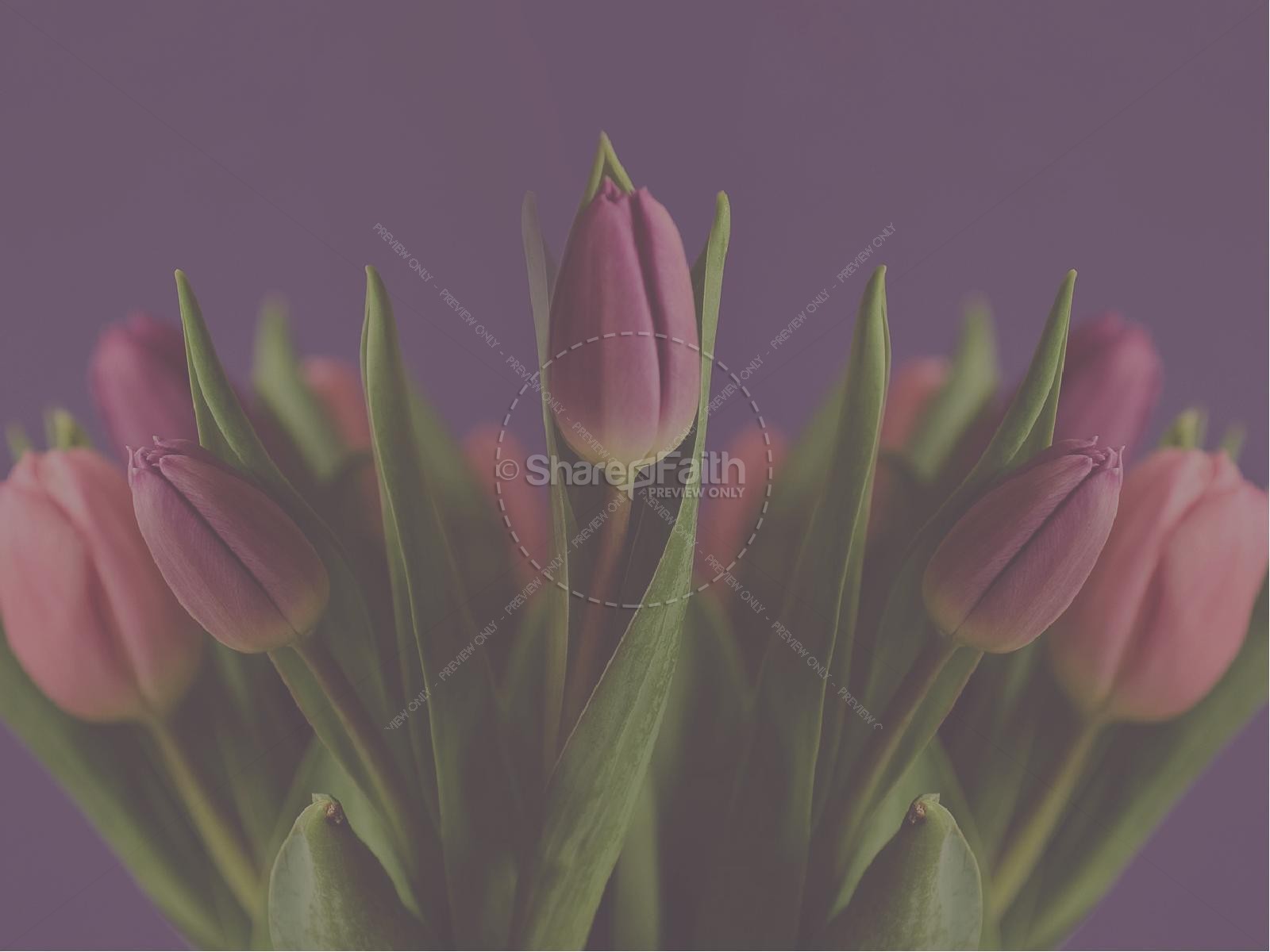 Mother's Day Tulips Religious PowerPoint Thumbnail 7