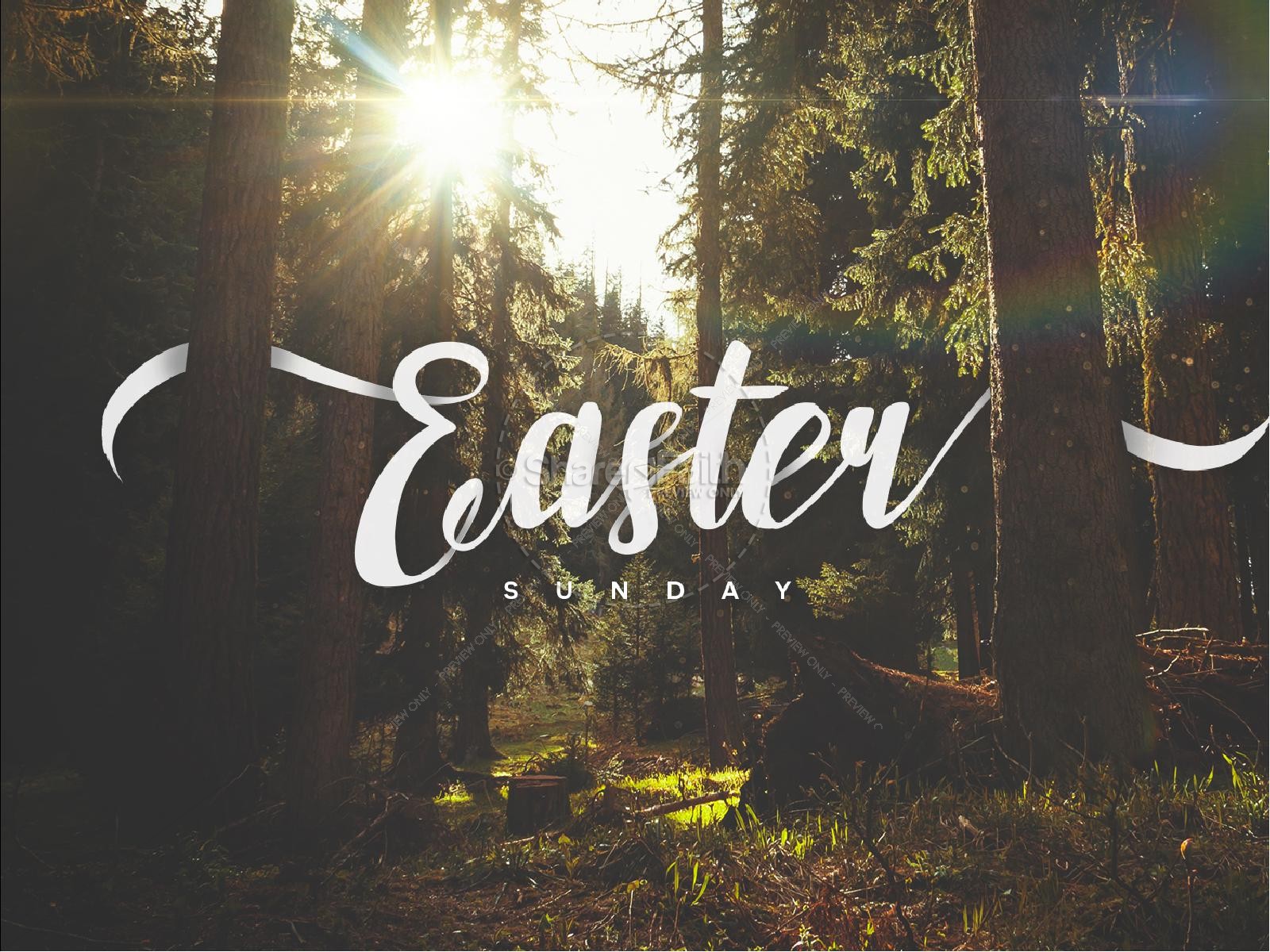 Easter Sunday Forest Church PowerPoint Thumbnail 1