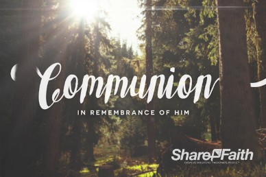 Easter Sunday Forest Communion Video Loop