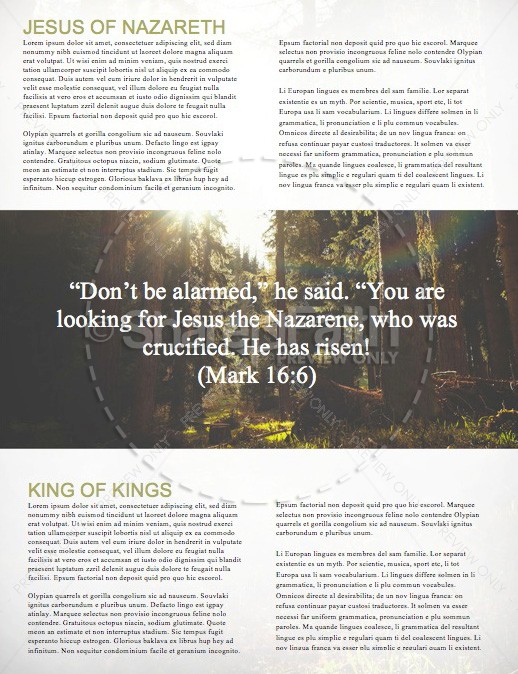 Sunlit Forest Church Newsletter | page 2