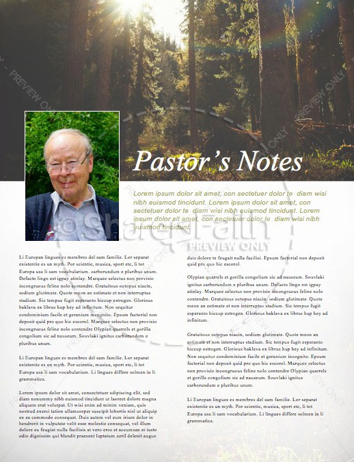 Sunlit Forest Church Newsletter | page 3