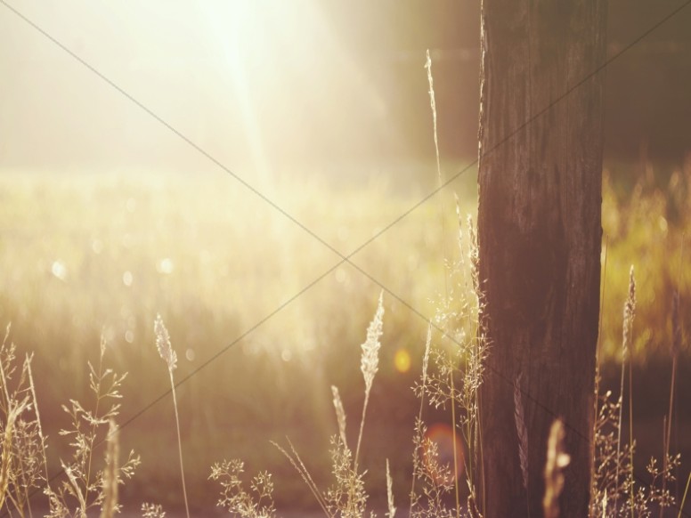 Wooden Post in the Field Worship Background Thumbnail Showcase