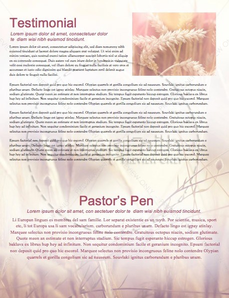 Authentic Faith Church Newsletter | page 3