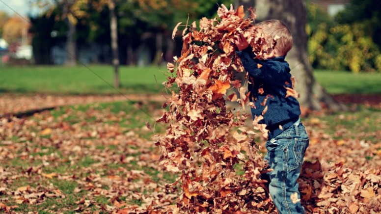 Child Jumping in Leaves Christian Stock Photo Thumbnail Showcase