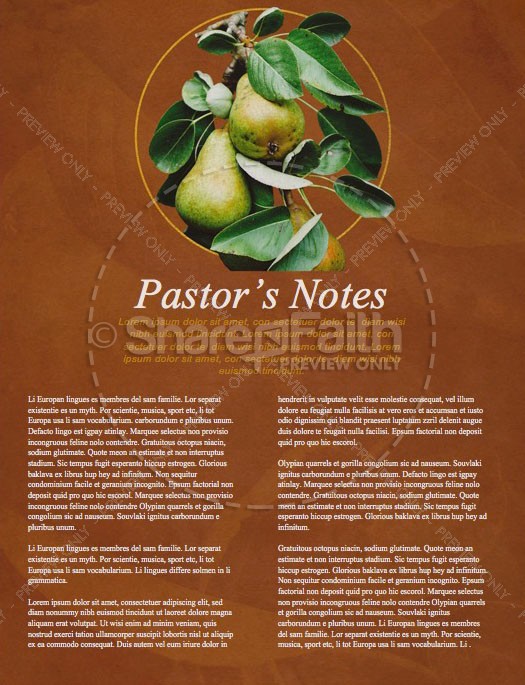 First Fruits Church Newsletter Template | page 3