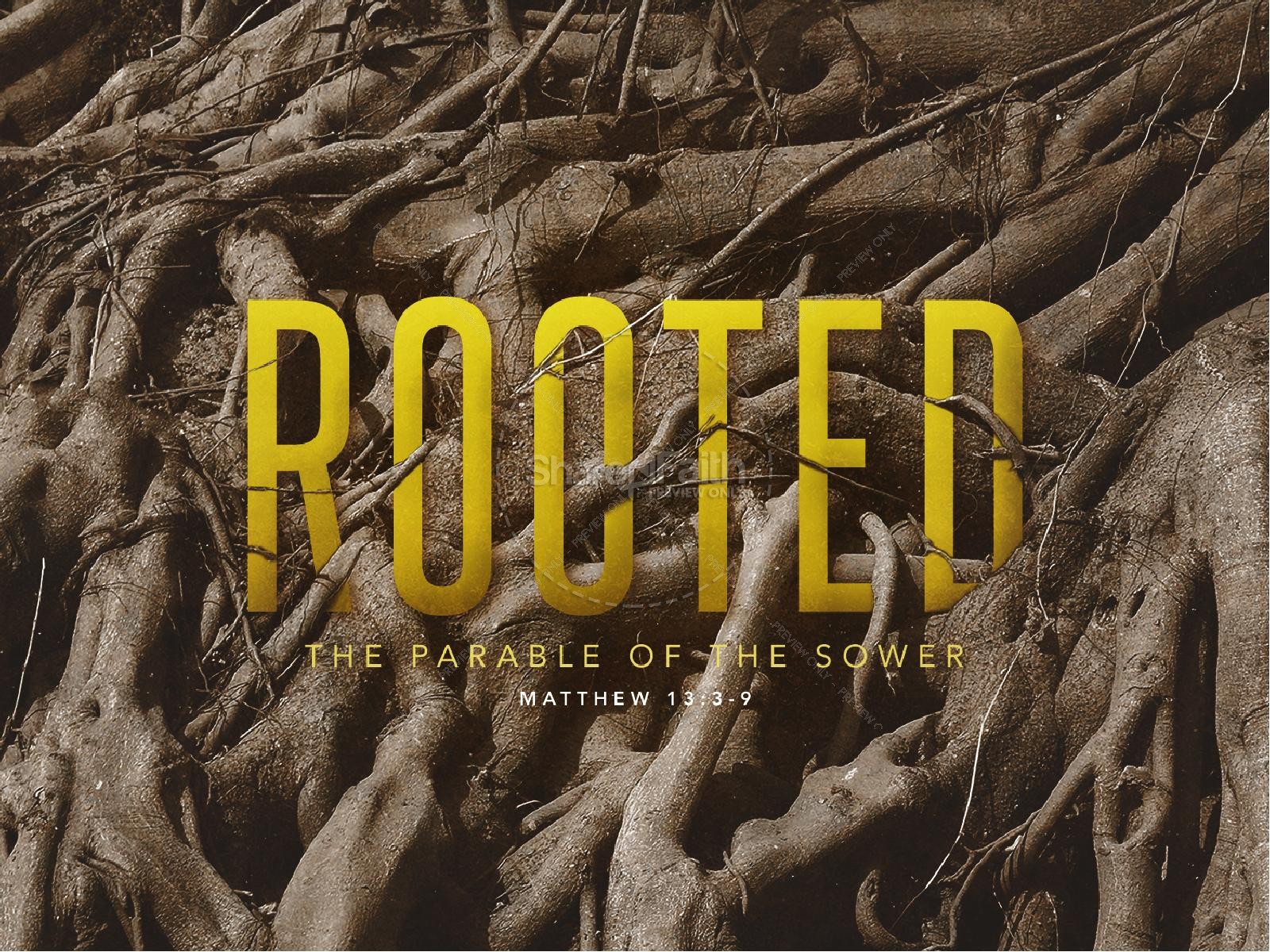Rooted Parable Of The Sower Sermon PowerPoint