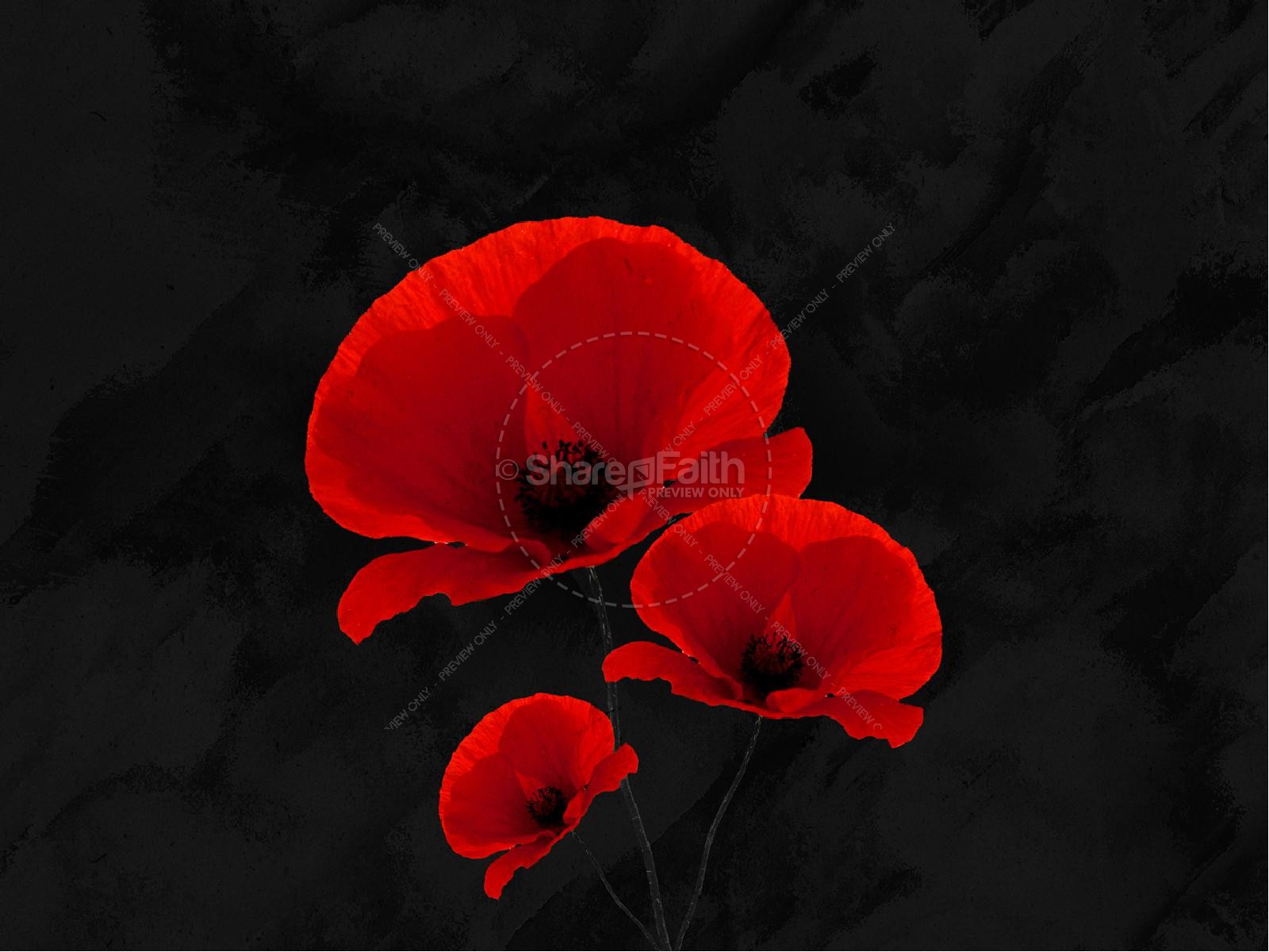 Remembrance Day Church PowerPoint Template Thumbnail 7