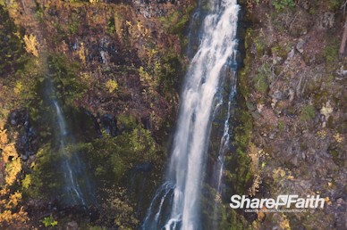 Waterfall Ravine Nature Background Video