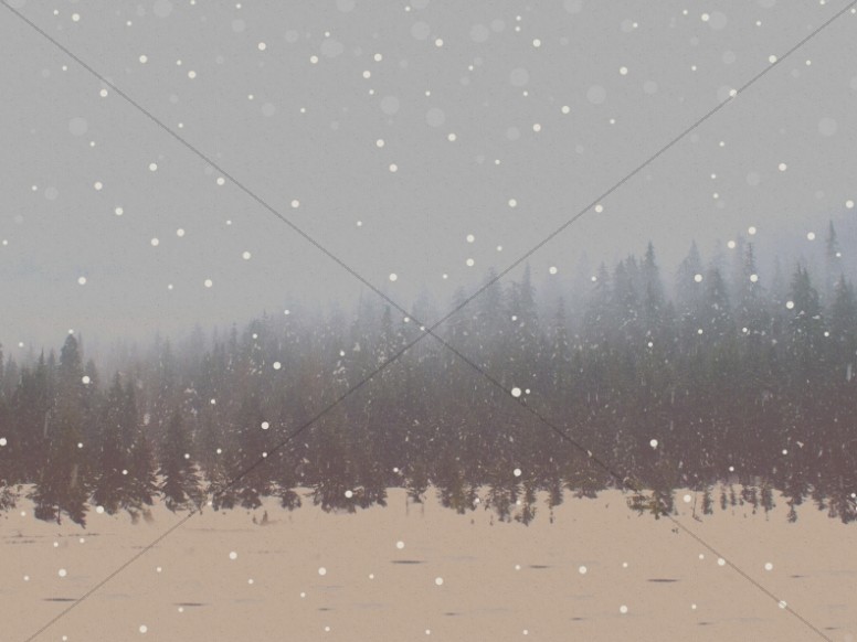 You Are Invited To Christmas Forest Worship Background Thumbnail Showcase