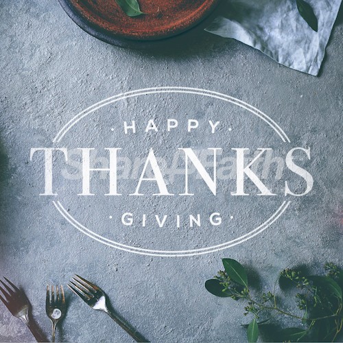 Happy Thanksgiving Meal Social Media Graphic Thumbnail Showcase