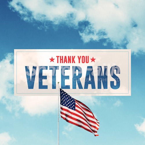 Veterans Day Social Media Graphic Thumbnail Showcase