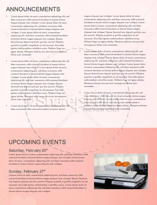 Valentine's Day Pink Church Newsletter | page 4