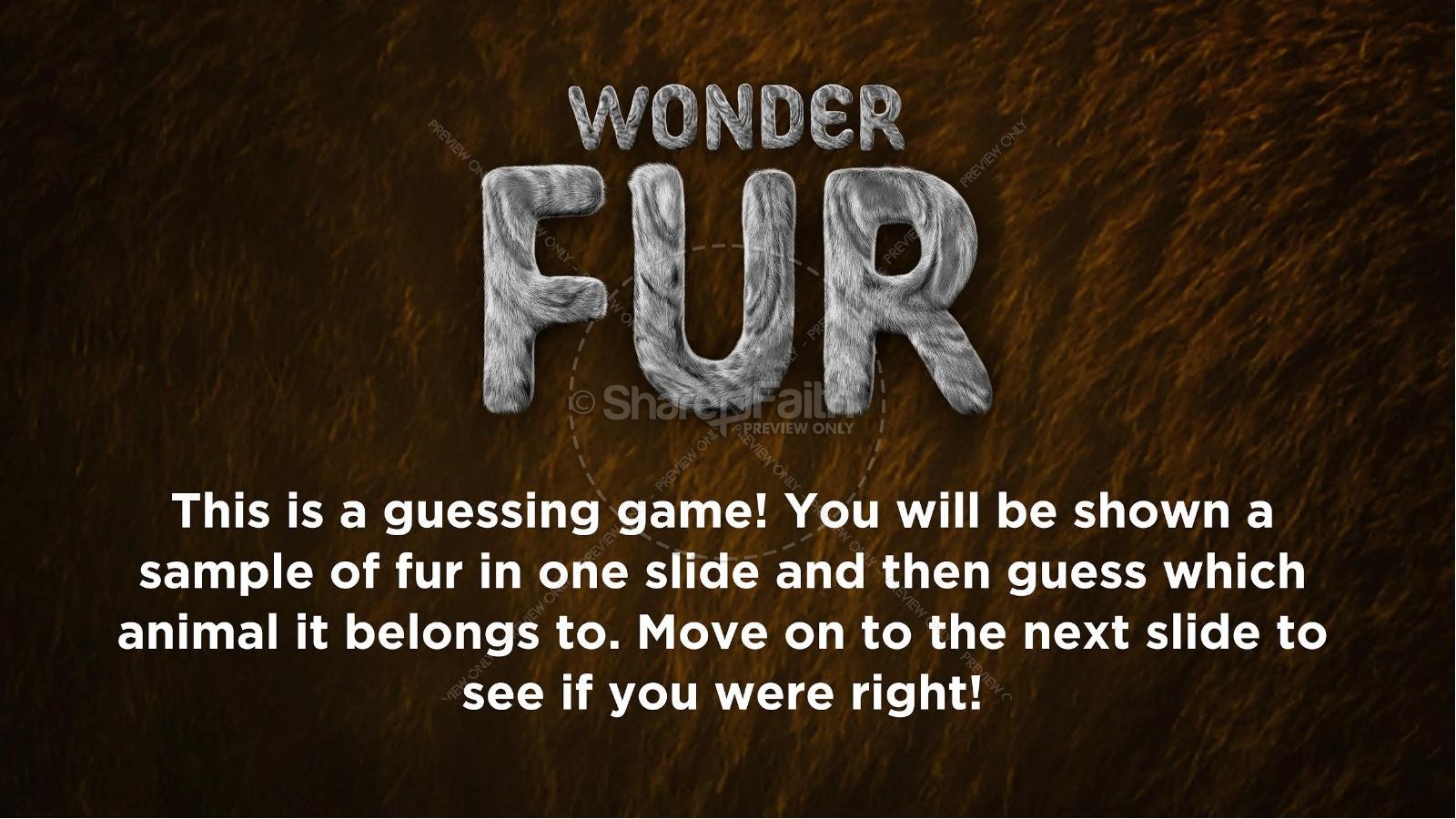 Wonder Fur PowerPoint Game Volume 2 Thumbnail 2