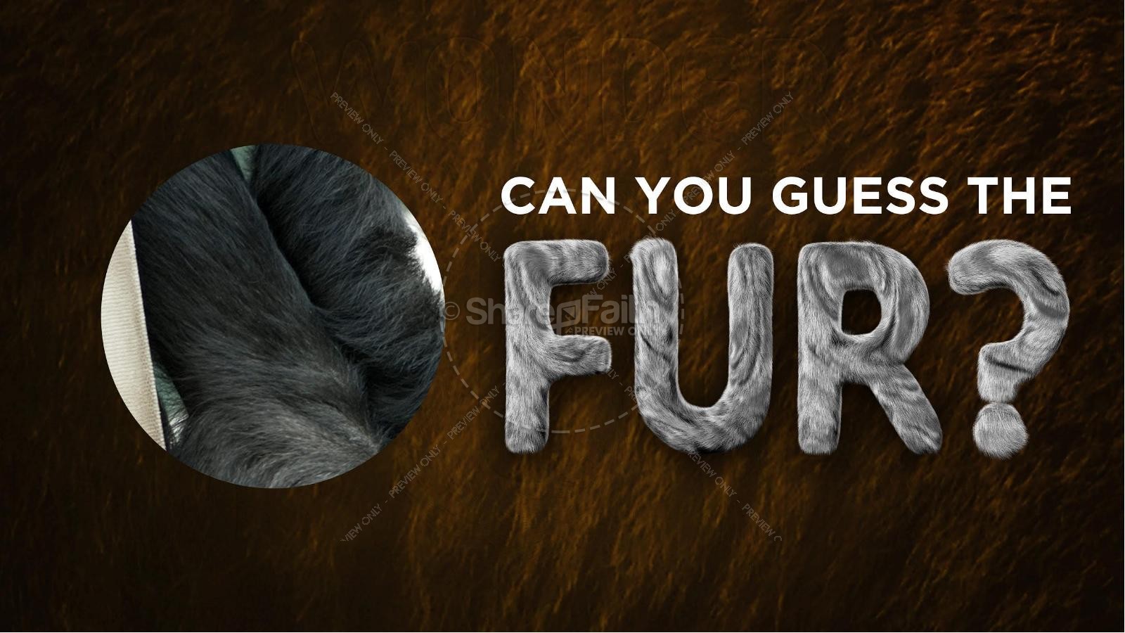Wonder Fur PowerPoint Game Volume 2 Thumbnail 15