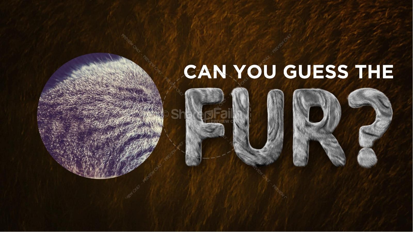 Wonder Fur PowerPoint Game Volume 2 Thumbnail 3
