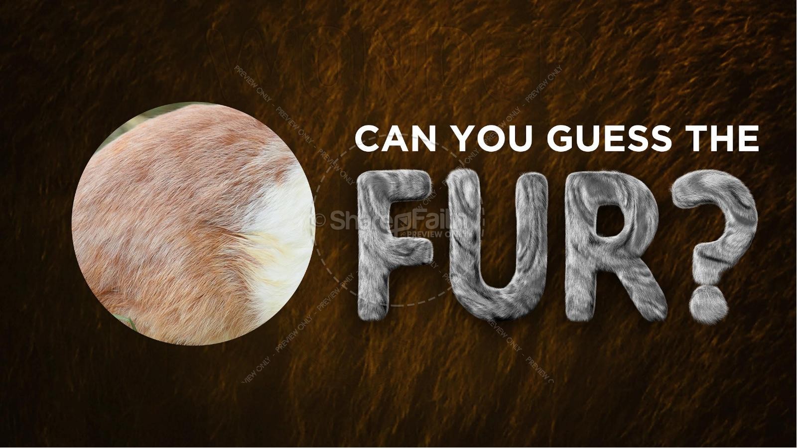 Wonder Fur PowerPoint Game Volume 2 Thumbnail 5