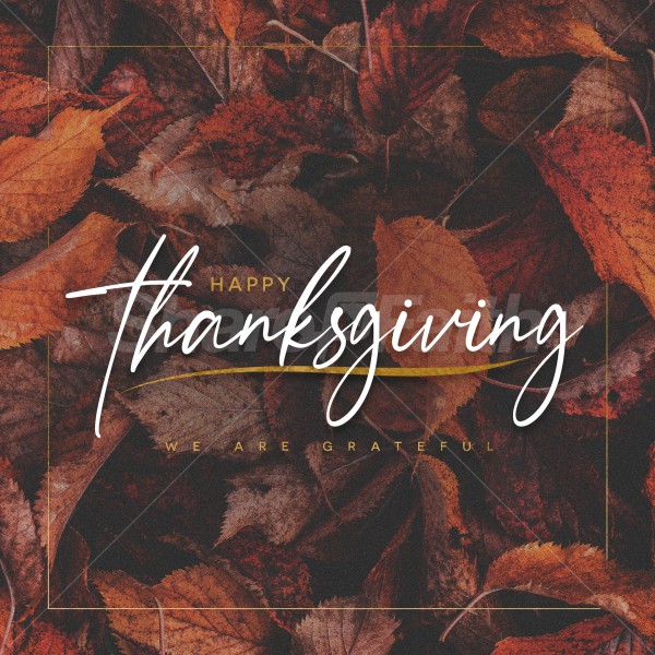 Thanksgiving Grateful Social Media Graphic Thumbnail Showcase