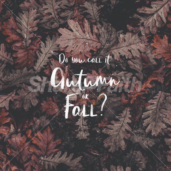 Autumn or Fall Social Graphics Thumbnail Showcase
