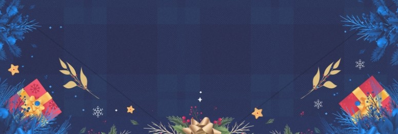 Christmas Party Website Banner Blue
